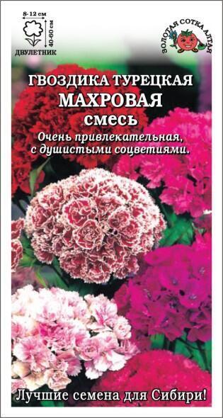Купить оптом в Ботанике семена Гвоздика Турецкая махровая смесь ЗС бренд Золотая сотка