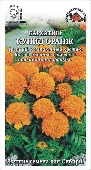 Купить оптом в Ботанике семена Бархатцы Купид Оранж ЗС бренд Золотая сотка