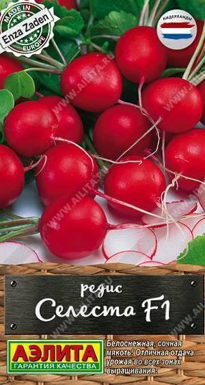 Купить оптом в Ботанике семена Редис Селеста F1 Аэл бренд Аэлита