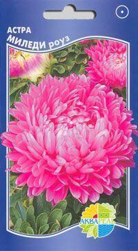Купить оптом в Ботанике семена Астра Миледи роуз Акв бренд Акварель