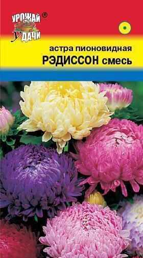 Купить оптом в Ботанике семена Астра Рэдиссон смесь УУ бренд Урожай Удачи