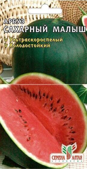 Купить оптом в Ботанике семена Арбуз Сахарный малыш СА бренд Семена Алтая