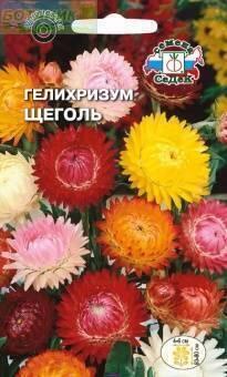 Купить оптом в Ботанике семена Гелихризум Щеголь Сед бренд СеДеК