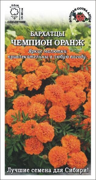 Купить оптом в Ботанике семена Бархатцы Чемпион Оранж ЗС бренд Золотая сотка