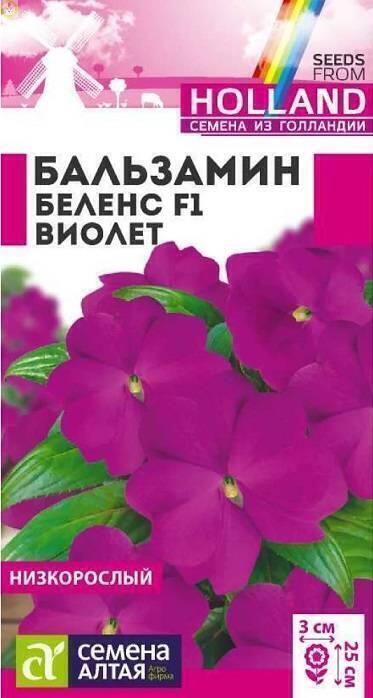 Купить оптом в Ботанике семена Бальзамин Беленс Виолет СА бренд Семена Алтая