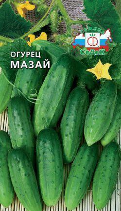 Купить оптом в Ботанике семена Огурец Мазай F1 Сед бренд СеДеК
