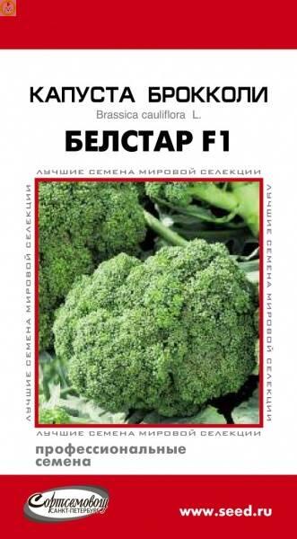 Купить оптом в Ботанике семена Капуста брокколи Белстар F1 ССО бренд Сортсемовощ