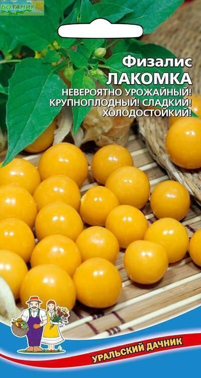 Купить оптом в Ботанике семена Физалис Лакомка УД бренд Уральский дачник