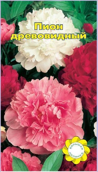 Купить оптом в Ботанике семена Пион Древовидный УУ бренд Урожай Удачи