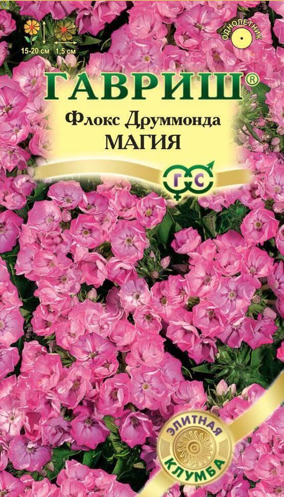 Купить оптом в Ботанике семена Флокс Магия друммонда Гав бренд Гавриш