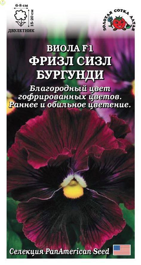 Купить оптом в Ботанике семена Виола Фризл Сизл Бургунди ЗС бренд Золотая сотка