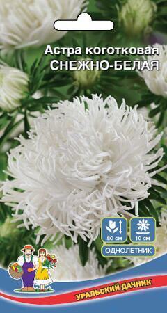 Купить оптом в Ботанике семена Астра Снежно-белая УД бренд Уральский дачник