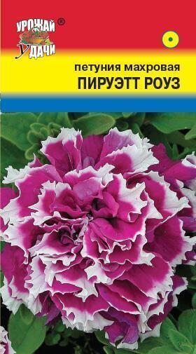 Купить оптом в Ботанике семена Петуния Пируэтт Роуз F1 УУ бренд Урожай Удачи
