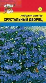 Купить оптом в Ботанике семена Лобелия Хрустальный дворец УУ бренд Урожай Удачи