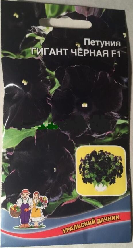 Купить оптом в Ботанике семена Петуния Гигант черная F1 УД бренд Уральский дачник