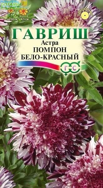 Купить оптом в Ботанике семена Астра Помпон бело-красный Гав бренд Гавриш