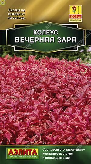 Купить оптом в Ботанике семена Колеус Визард Вечерняя заря Аэл бренд Аэлита