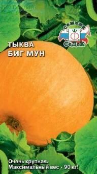 Купить оптом в Ботанике семена Тыква Биг мун Сед бренд СеДеК