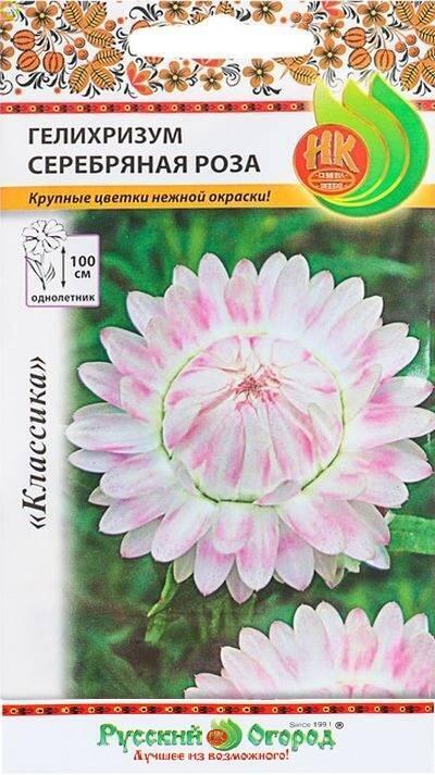 Купить оптом в Ботанике семена Гелихризум Серебряная роза НК бренд НК