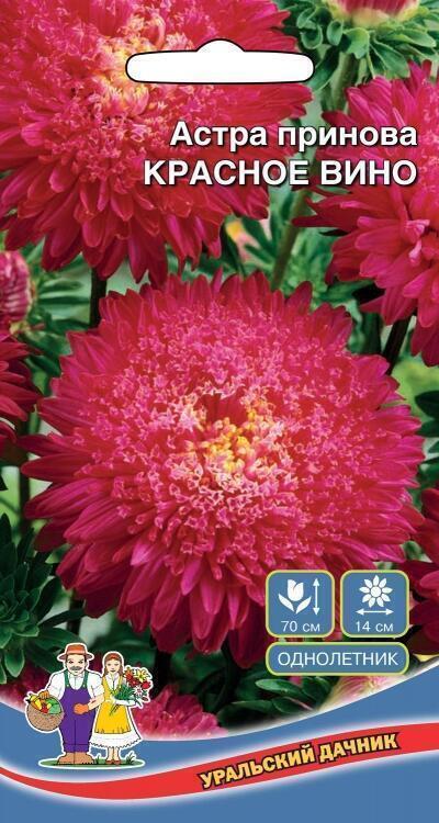 Купить оптом в Ботанике семена Астра Красное вино принова УД бренд Уральский дачник