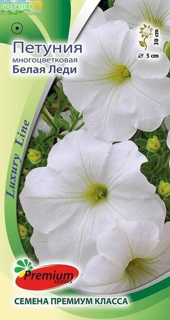 Купить оптом в Ботанике семена Петуния Белая леди ПС бренд Премиум Сидс