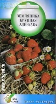 Купить оптом в Ботанике семена Земляника Али-Баба ССО бренд Сортсемовощ