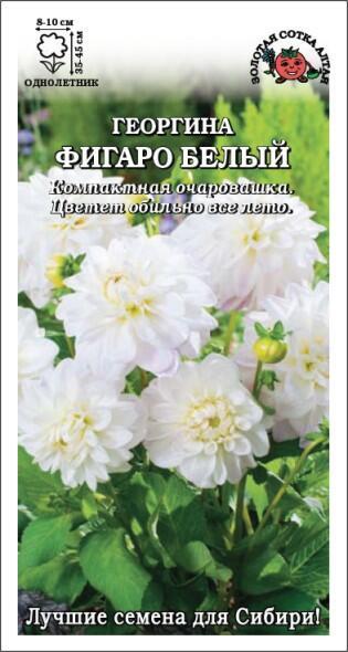 Купить оптом в Ботанике семена Георгина Фигаро Белый ЗС бренд Золотая сотка