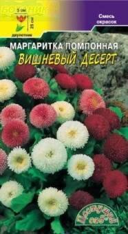 Купить оптом в Ботанике семена Маргаритка Вишневый десерт ЦС бренд Цветущий Сад