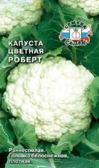 Купить оптом в Ботанике семена Капуста цветная Роберт Сед бренд СеДеК