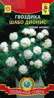 Купить оптом в Ботанике семена Гвоздика шабо Дионис Плз бренд Плазмас
