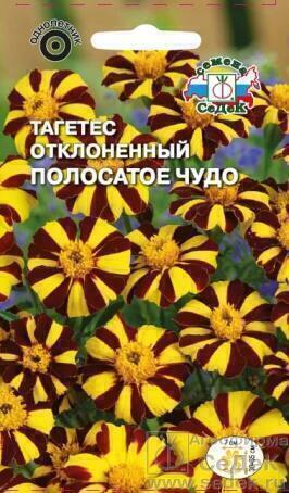 Купить оптом в Ботанике семена Бархатцы Полосатое чудо Сед бренд СеДеК