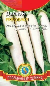 Купить оптом в Ботанике семена Дайкон Миноваси Плз бренд Плазмас