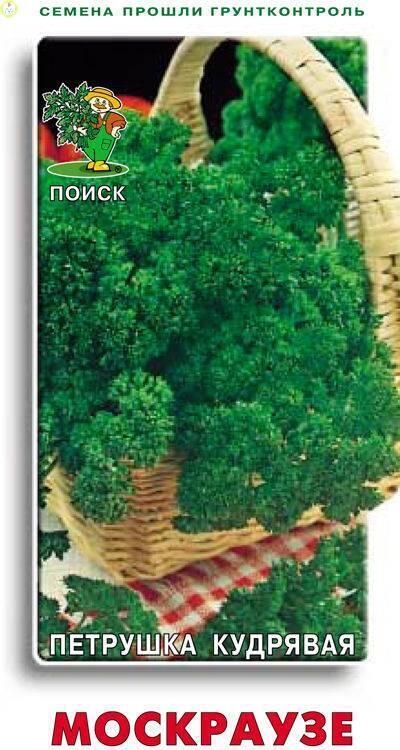 Купить оптом в Ботанике семена Петрушка Мооскраузе 2 кудрявая Поиск бренд Поиск