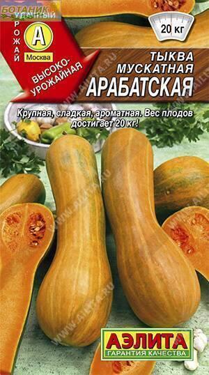 Купить оптом в Ботанике семена Тыква Арабатская мускатная Аэл бренд Аэлита