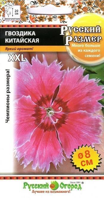 Купить оптом в Ботанике семена Гвоздика китайская Русский размер НК бренд НК