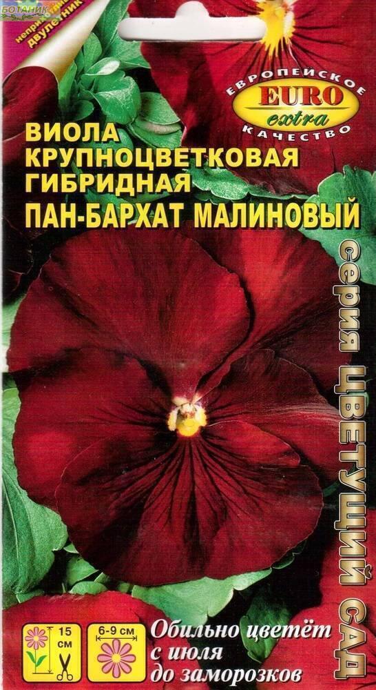 Купить оптом в Ботанике семена Виола Пан-Бархат Малиновый Аэл бренд Аэлита