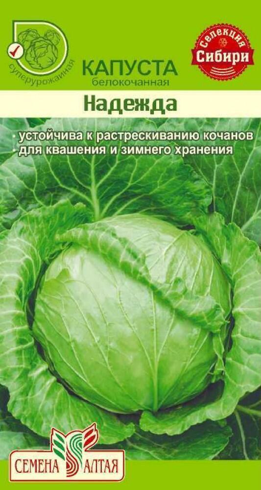 Купить оптом в Ботанике семена Капуста белокочанная Надежда СА бренд Семена Алтая