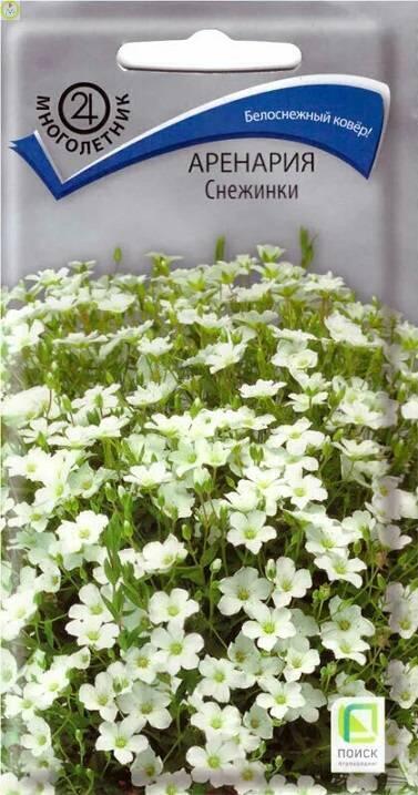 Купить оптом в Ботанике семена Аренария Снежинки Поиск бренд Поиск