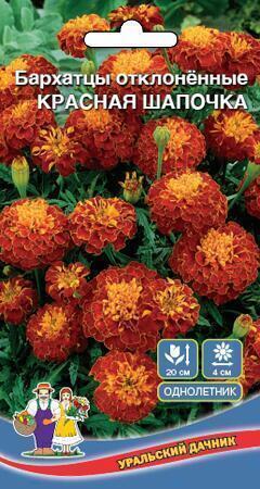 Купить оптом в Ботанике семена Бархатцы Красная шапочка УД бренд Уральский дачник