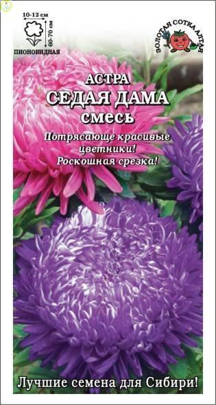 Купить оптом в Ботанике семена Астра Седая Дама ЗС бренд Золотая сотка