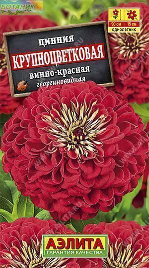 Купить оптом в Ботанике семена Цинния Крупноцветковая винно-красная Аэл бренд Аэлита