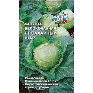 Купить оптом в Ботанике семена Капуста белокочанная Сахарный шар Сед бренд СеДеК