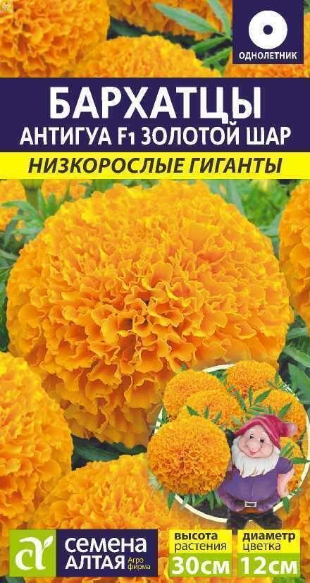 Купить оптом в Ботанике семена Бархатцы Антигуа Золотой шар СА бренд Семена Алтая