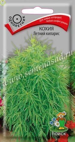 Купить оптом в Ботанике семена Кохия Летний кипарис Поиск бренд Поиск