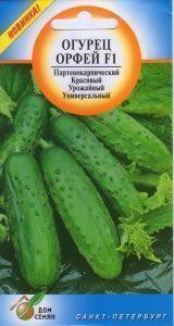 Купить оптом в Ботанике семена Огурец Орфеус F1 ССО бренд Сортсемовощ