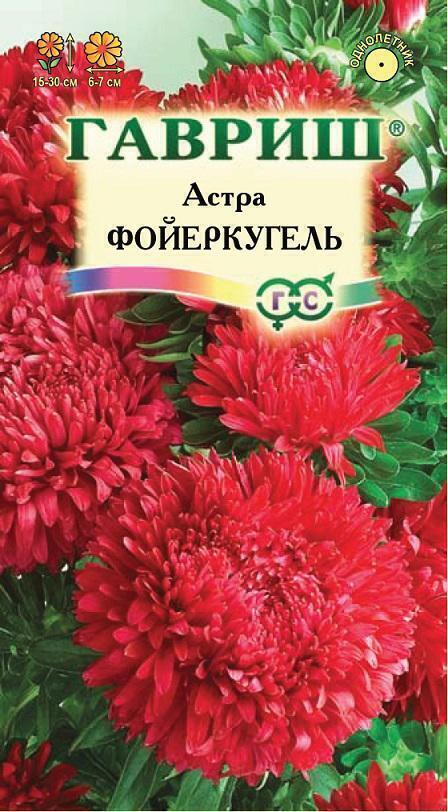 Купить оптом в Ботанике семена Астра Фоеркугель Гав бренд Гавриш