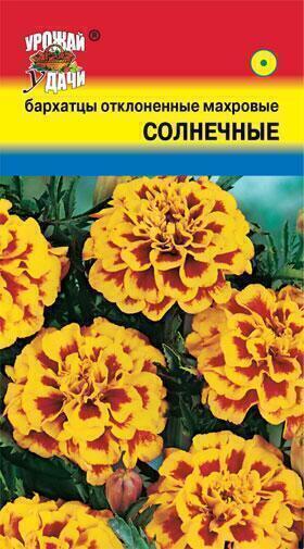 Купить оптом в Ботанике семена Бархатцы Солнечные УУ бренд Урожай Удачи