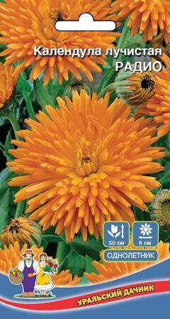 Купить оптом в Ботанике семена Календула Радио УД бренд Уральский дачник
