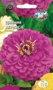 Купить оптом в Ботанике семена Цинния Анфиса Сед бренд СеДеК