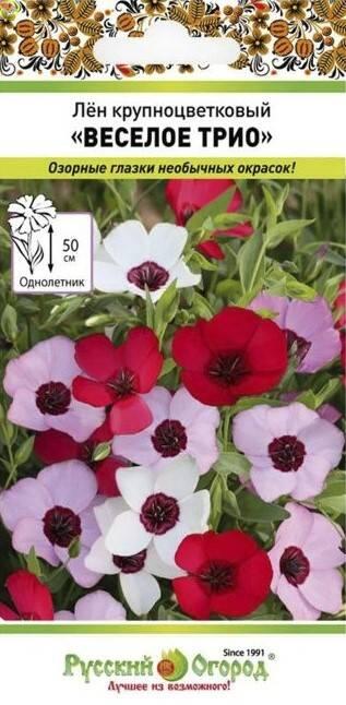 Купить оптом в Ботанике семена Лен Веселое трио однолетний НК бренд НК